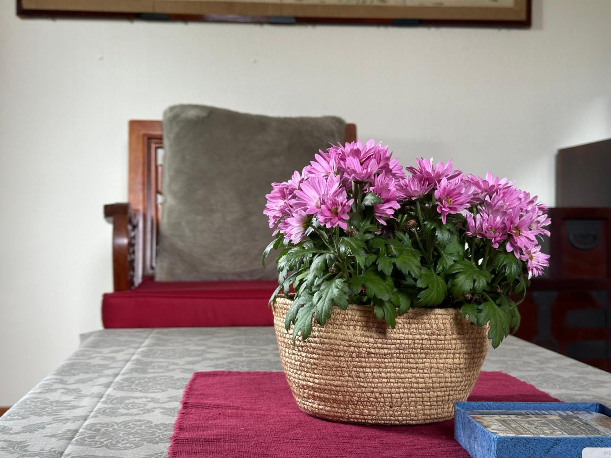 Lovely Fully Furnished Apartment Ottestad Zewnętrze zdjęcie